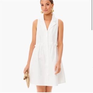 Tuckernuck Oxford White Sleeveless Royal Shirt Dress